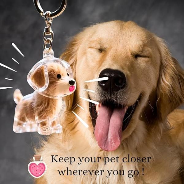 Pet memorial keychain design cute dog hair holder keyring